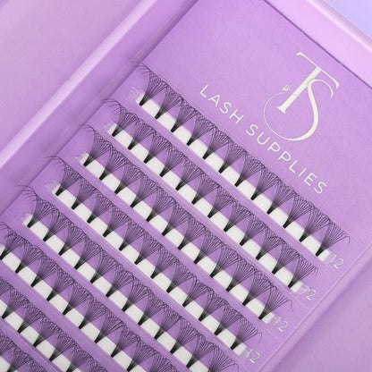 10D Premade Volume Trays