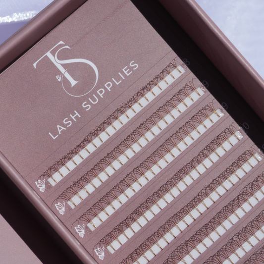 3D Brown Premade Volume Trays