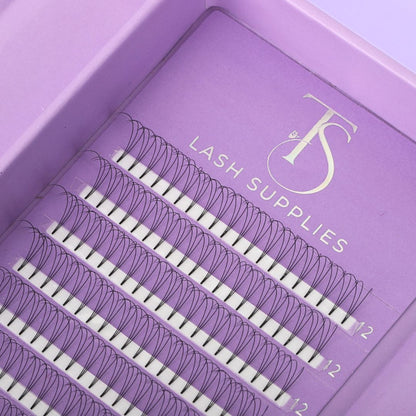 3D Premade Volume Trays