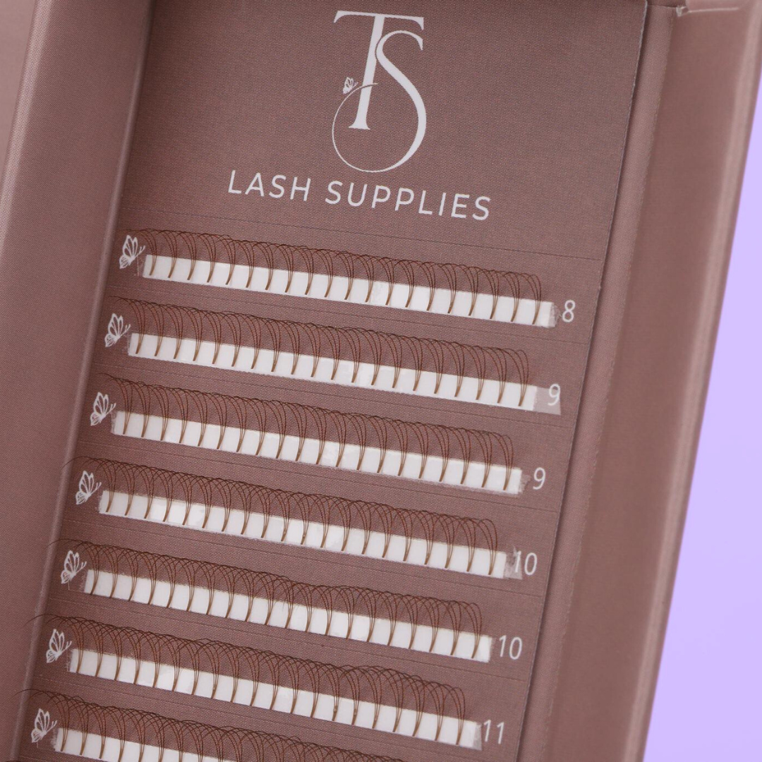 3D Brown Premade Volume Trays