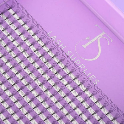 XL 5D Premade Volume Trays