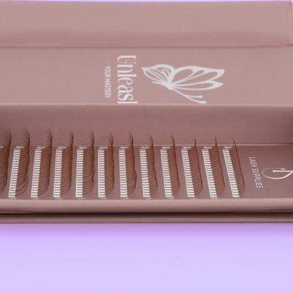 3D Brown Premade Volume Trays