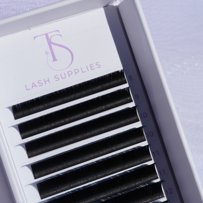 Individual Flat Lash Trays