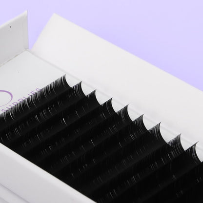 Individual Flat Lash Trays